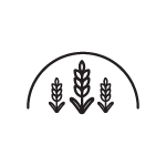 Plandeki do przykrycia zbiorów